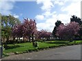 Green space, Rhos-on-Sea