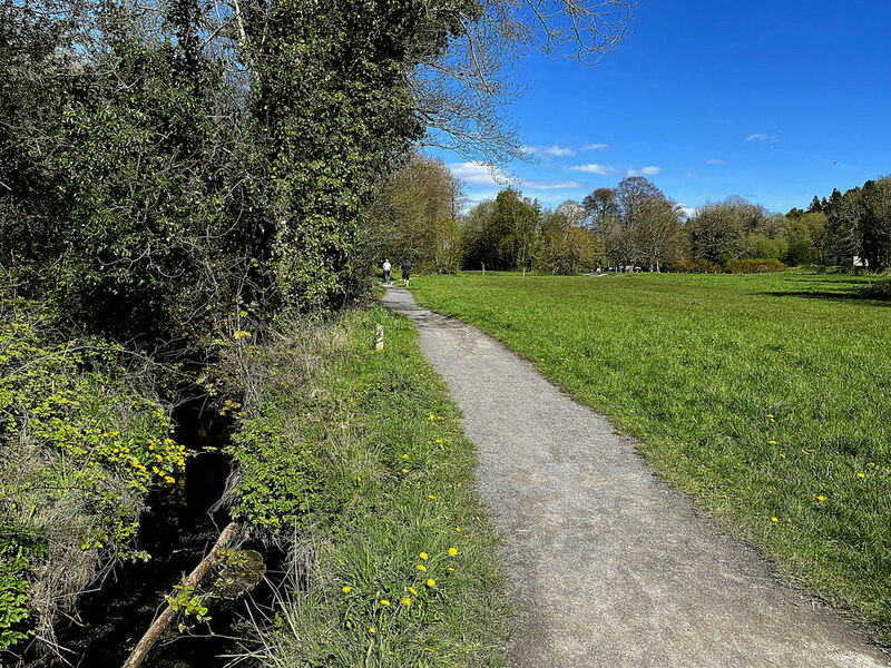 Path, Rossmore © Kenneth Allen :: Geograph Britain and Ireland