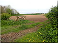 Field seen from Jenny Brough Lane