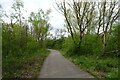 Cycle path near Methley Junction