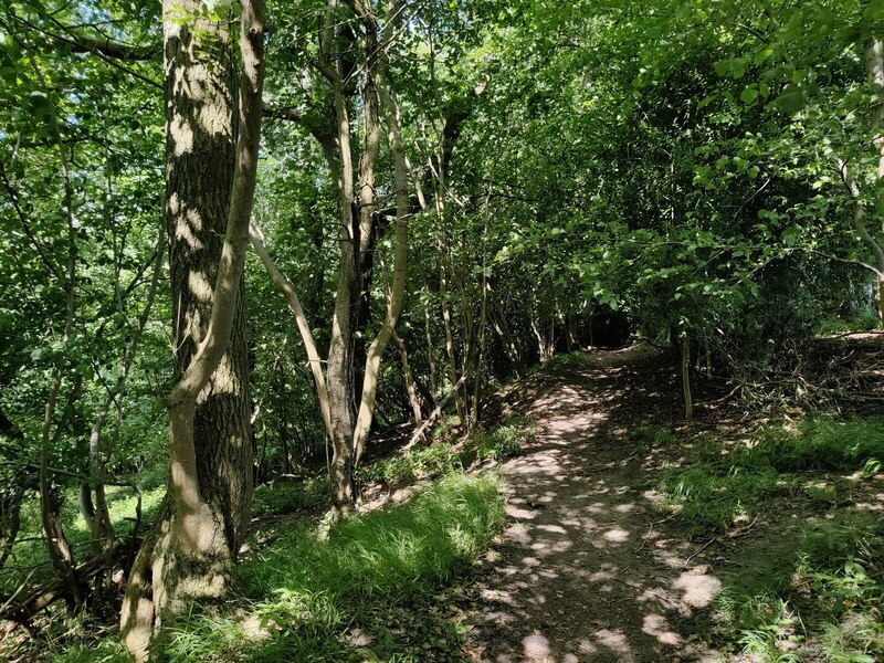 Shropshire Way in Spratts Coppice © Mat Fascione :: Geograph Britain ...