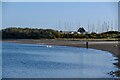 Pwllheli : Coastal Scenery