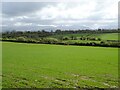 SH4971 : Grassland towards the North Wales Coast Line by JThomas