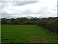 Grazing towards the North Wales Coast Line