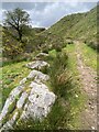 Rock-lined path