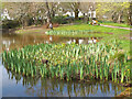 Pond at Balmacara Square