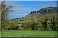 Porthmadog : Grassy Field