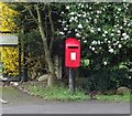 Elizabeth II postbox on Tarvin Road, Vicarscross