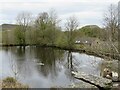 Pond seen from Brow Grains Road, Meltham