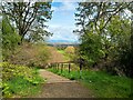 Path downhill to Fernbrae Meadows