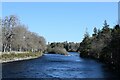 View upriver from Ness Island