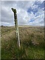 Waymarker up Brest y Rhos