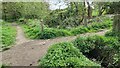 Paths by the Owler Beck, Kettlesthorpe