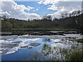 Reflections in the lake