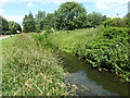 River Brain, Witham