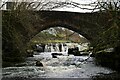 The Seven Sisters waterfall at Gossipgate