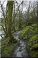 A footpath by the River Nent