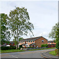 Lingfield Grove houses in Perton, Staffordshire