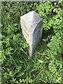 Old Milestone by the B3298, south of Carharrack