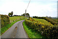 Bends along Cashel Road