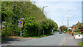 Yew Tree Lane in Tettenhall, Wolverhampton