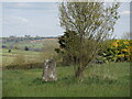 Windmill Farm trig pillar