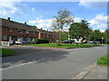 Stoneybrook Way, Meole Brace estate