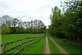 Bridleway towards Ouse Gill Beck