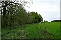 Bridleway above Ouse Gill Beck