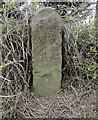 Old Milestone by the A4136 near Herbert Lodge