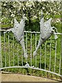 Golden Goose Railings, Girton – 3