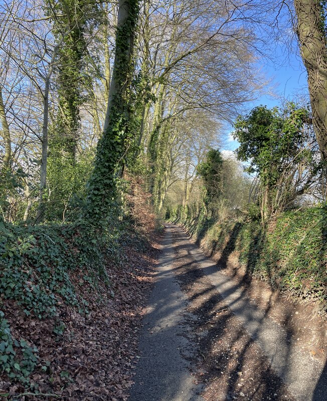 Weston Road direction Tunworth © Mr Ignavy :: Geograph Britain and Ireland