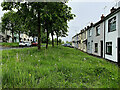 Long grass, West View and East View, Gallows Hill, Omagh