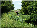 Grand Union Canal, Wendover Arm