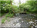 Wooden footbridge over the stream