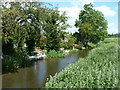 Grand Union Canal, Wendover Arm