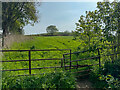 Gate to the path up the hill