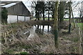 Pond, Lower Claverham Farm