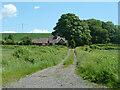 Track from canal to Upper Icknield Way and Lodge Farm