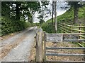 Shropshire Way footpath leading up Dhustone Lane