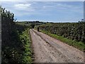 The lane to Lammaston Farm