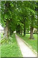 Tree-lined churchyard path