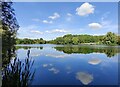 Holmer Lake at Brookside, Telford