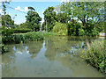 Village pond, Wingrave