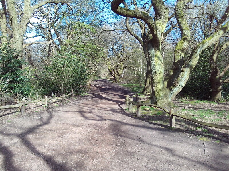 Public Bridleway Through Sherwood Forest © Richard Vince Geograph Britain And Ireland 1503