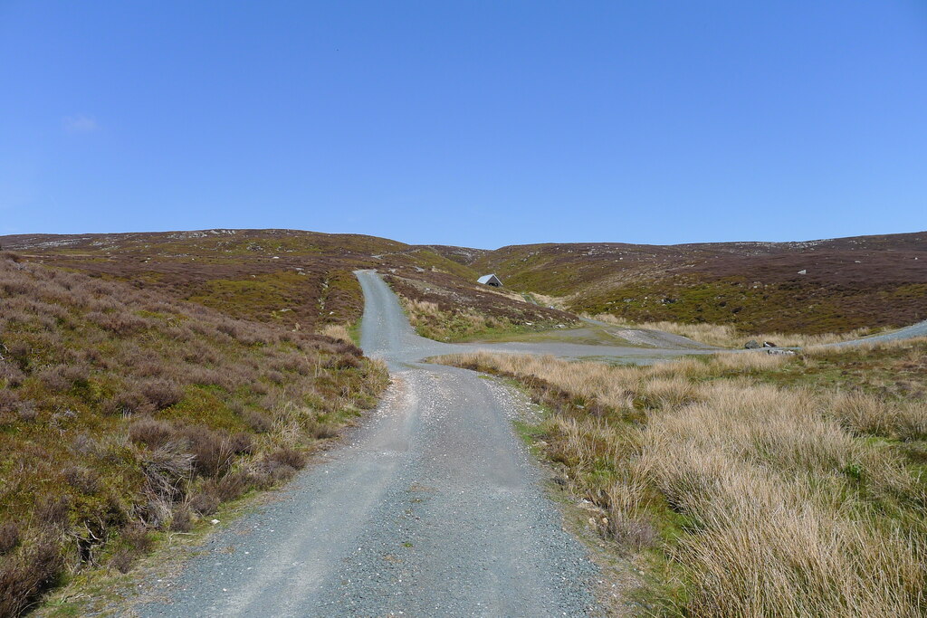 Grizedale Head © Tim Heaton :: Geograph Britain and Ireland