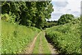 One of many tracks to Kelsall