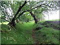 Hen geuffordd  Old hollow way