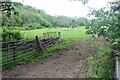 Pasture by cycleway