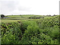 Cilffordd gyfyngedig / A restricted byway